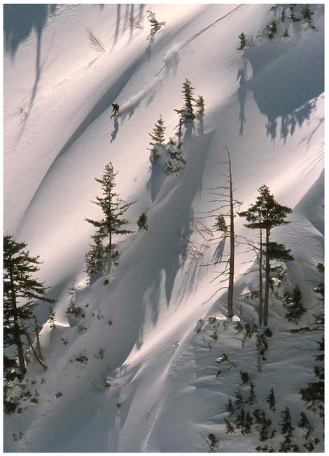 TT8_512×708.png