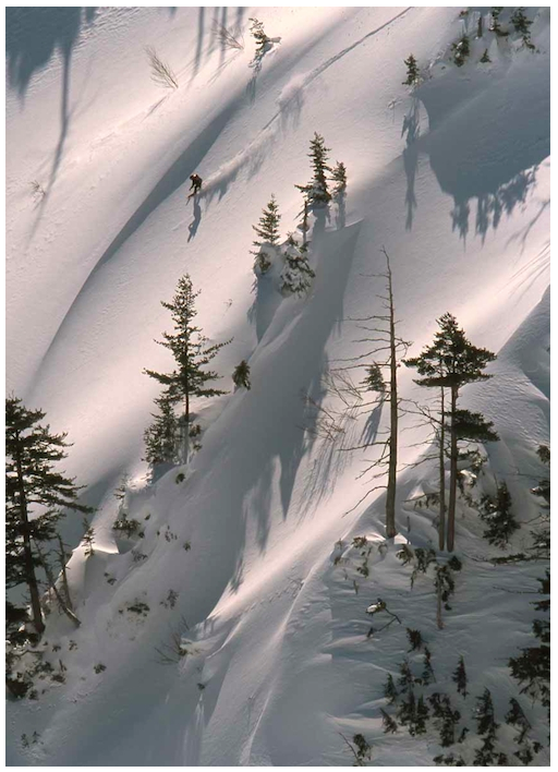 TT8_512×708.png